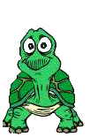 une tite tortue ...........