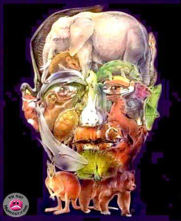 illusion...........