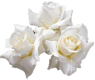 pour toi la miss...............
