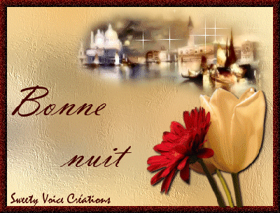 bonne nuit................