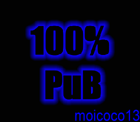 100 % pub