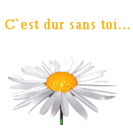 mon papa...........