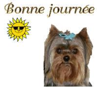 bonn journée.......