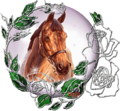 globe cheval.......